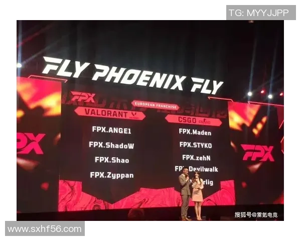 CSGO巨献：深入分析FPX战队的比赛策略与经验分享