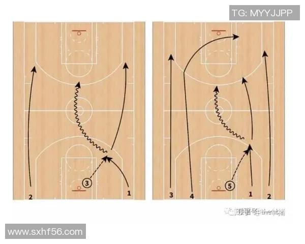 杭州排球队快攻战术解析与实战应用探讨