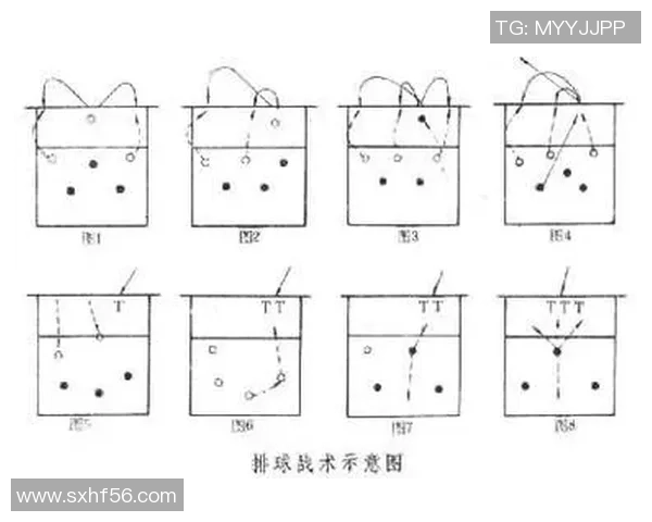 深圳排球队中路突破战术解析与实战应用探讨 深圳排球队中路突破战术解析与实战应用探讨