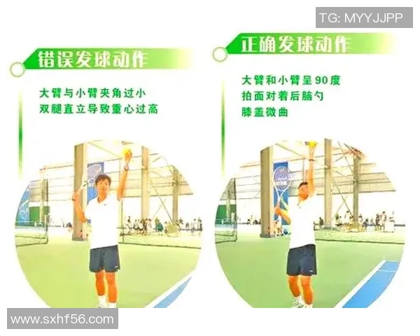 网球新手必看：从零基础到比赛高手的全面入门指南