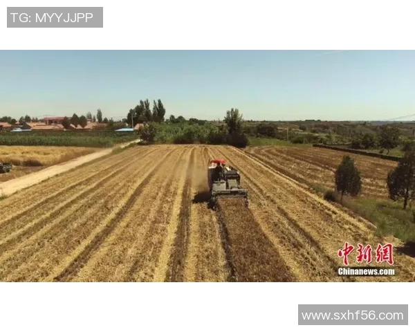 古铁雷斯的传奇人生与对现代社会的深远影响探讨 古铁雷斯的传奇人生与对现代社会的深远影响探讨